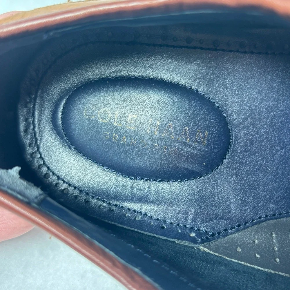 Cole Haan Monk Strap Dress Shoes Preppy Old Money Academia Leather 10.5 Heritage